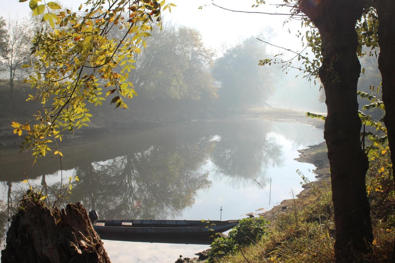 Murmures De Loire Montjean-sur-Loire Dış mekan fotoğraf